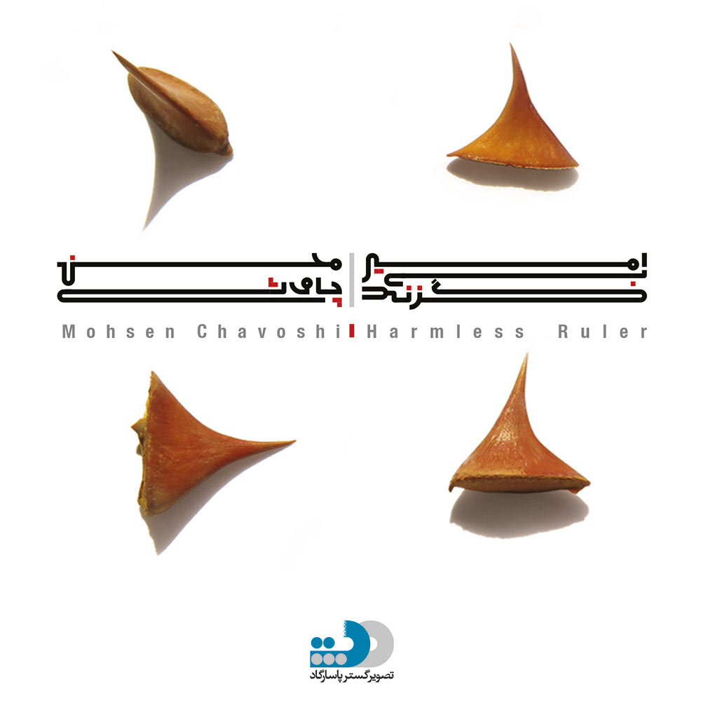 آلبوم موسيقي "امير بي‌گزند" اثري از: محسن چاوشي