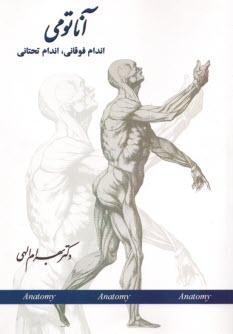 آناتومي اندام فوقاني، اندام تحتاني