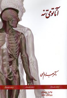 آناتومي تنه: قفسه سينه (توراكس) Thorax، ابدومن (شكم) Abdomen، لگن (پلويس) Pelvis