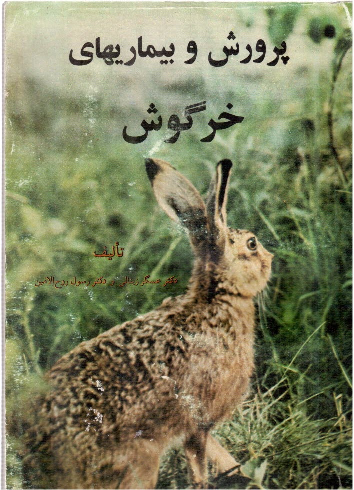 پرورش‏وبيماريهاي‏خرگوش‏