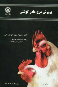 پرورش مرغ مادر گوشتي