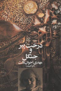 درخت پير و جنگل 