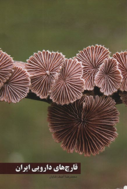 قارچ‌هاي دارويي ايران  