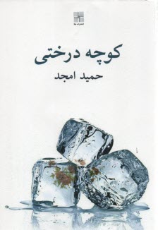 كوچه درختي 