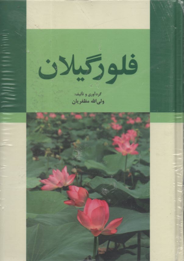 فلور گيلان  