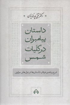 داستان پيامبران در كليات شمس: شرح تفسير عرفاني داستان‌ها در غزل مولوي 