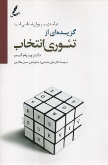 گزيده‌اي از تئوري انتخاب 