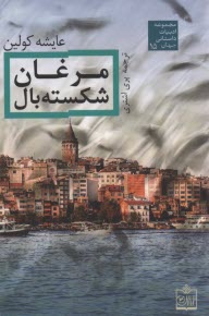مرغان شكسته بال 