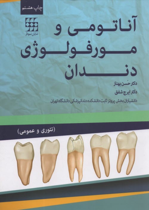 آناتومي و مورفولوژي دندان  
