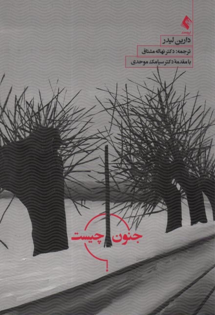 جنون چيست  