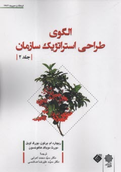 الگوي طراحي استراتژيك سازمان (2)  