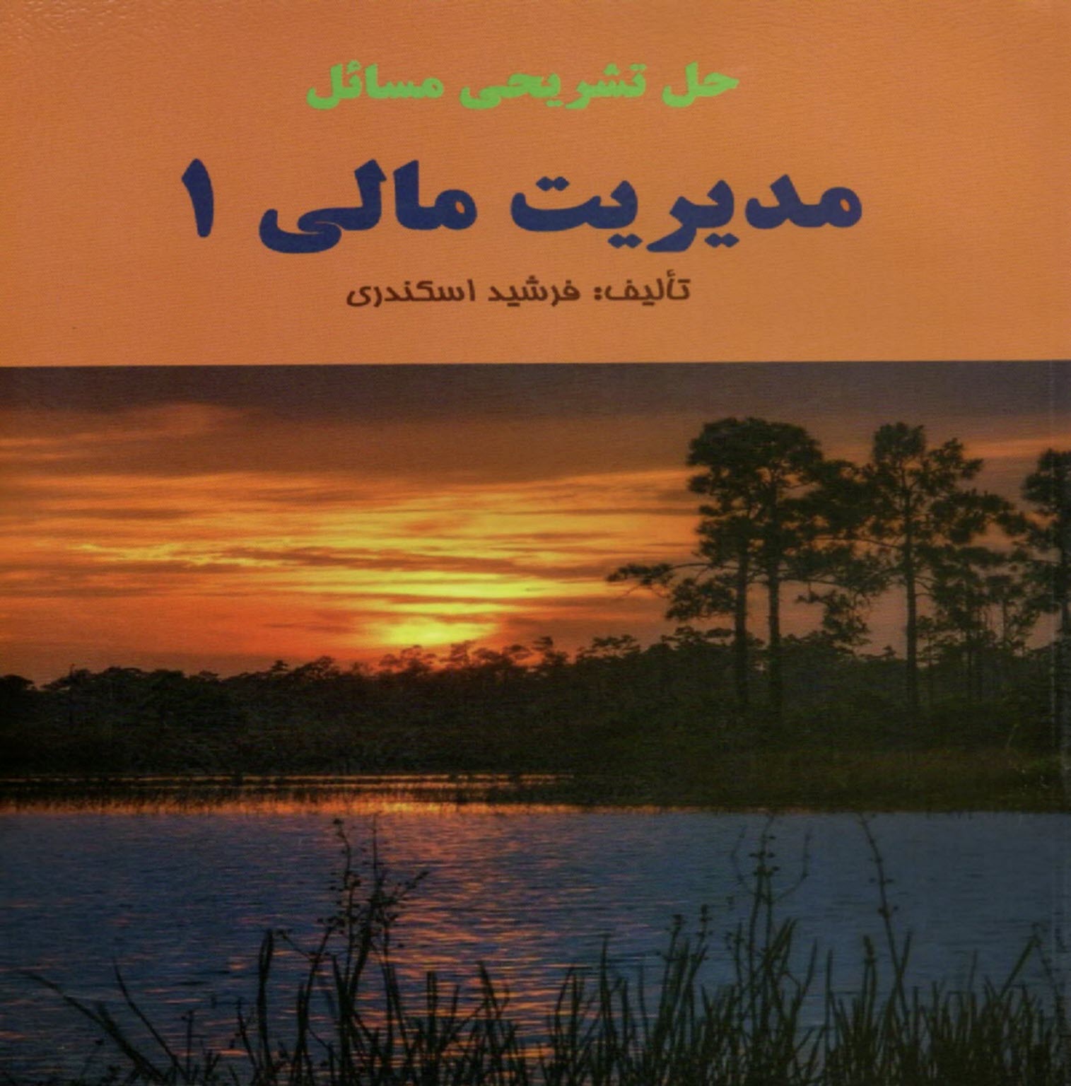 حل تشريحي مديريت مالي (1)  