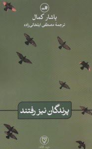 پرندگان نيز رفتند  