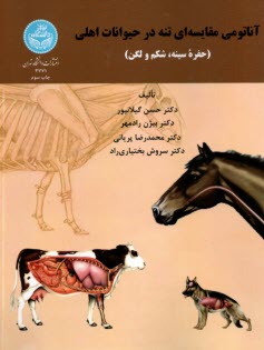 3771- آناتومي مقايسه‌اي تنه در حيوانات اهلي (حفره سينه، شكم ولگن)  
