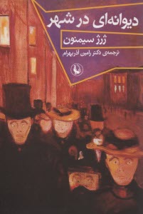 ديوانه‎اي در شهر  
