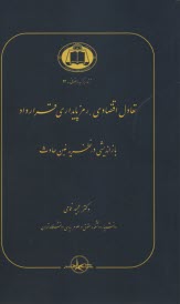 تعادل اقتصادي، رمزپايداري قرارداد: بازانديشي در  نظريه غبن حادث  