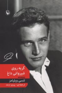 گربه روي شيرواني داغ  