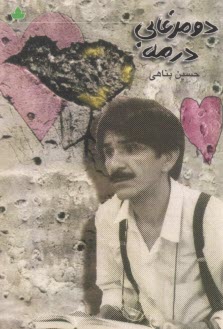 دو مرغابي در مه  