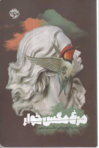 مرغ مگس‌خوار  