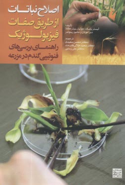 اصلاح نباتات از طريق صفات فيزيولوژيك: راهنماي بررسي‌هاي فنوتيپي گندم در مزرعه  