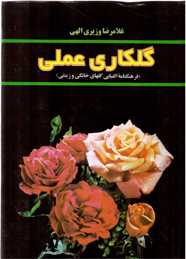 www.payane.ir - گلكاري عملي (فرهنگنامه الفبايي گلهاي خانگي و زينتي) 