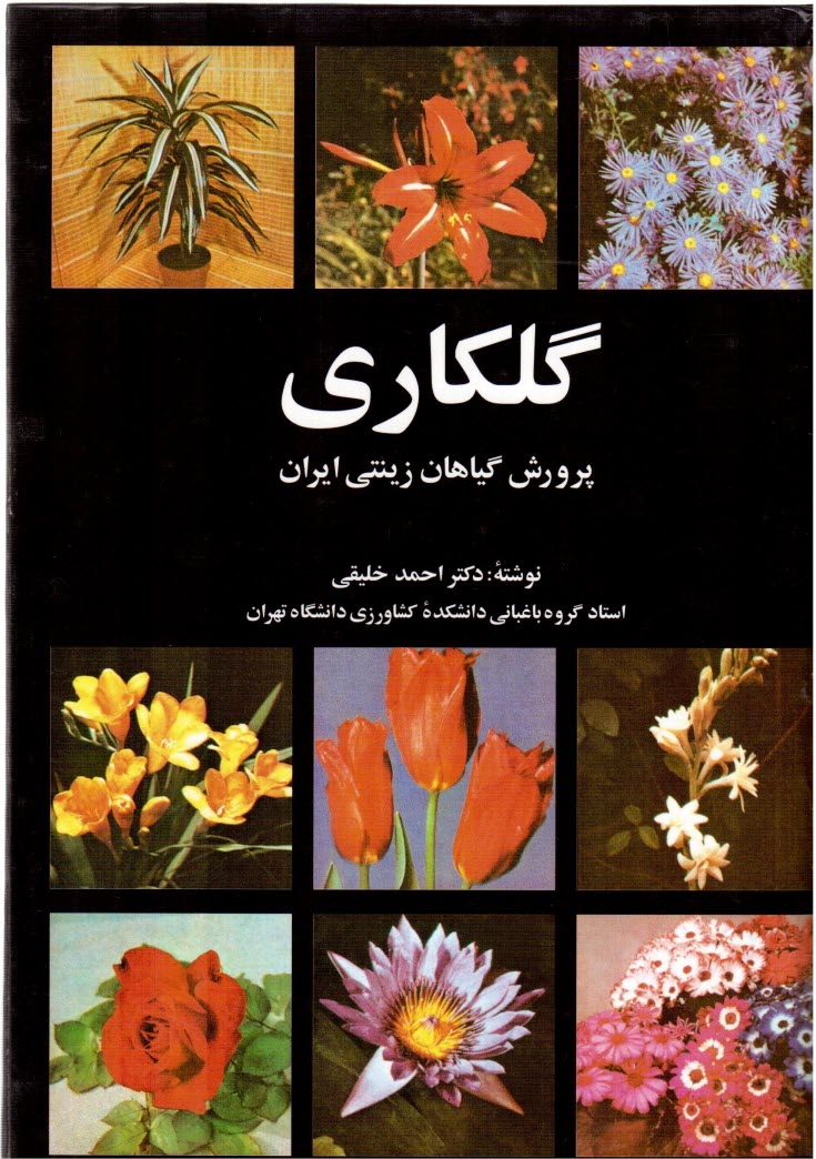 www.payane.ir - گلكاري: پرورش گياهان زينتي ايران 