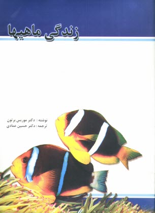 www.payane.ir - زندگي ماهي‌ها 