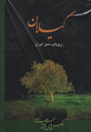 www.payane.ir - گيلان روياي سبز ايران 