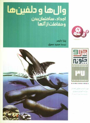 www.payane.ir - وال‌ها و دلفين‌ها: اجداد، ساختمان بدن و حفاظت از آنها 