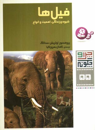 www.payane.ir - فيل‌ها: شيوه‌ي زندگي، اهميت و انواع 